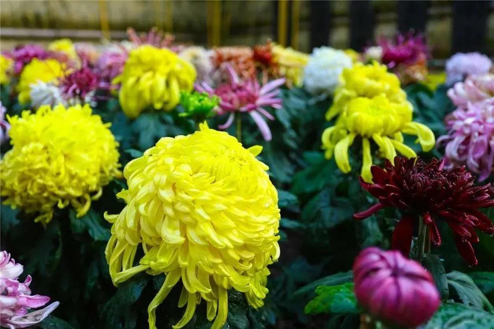 圖片關鍵詞 圖片關鍵詞