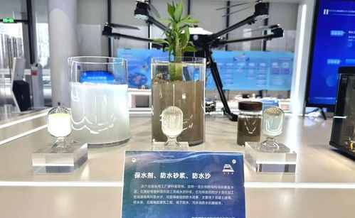 全球首創！